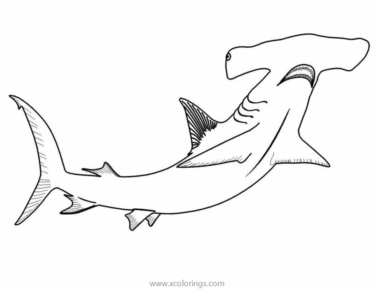 Раскраска Акула