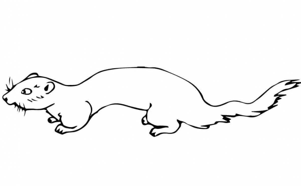 Coloring page dramatic european mink