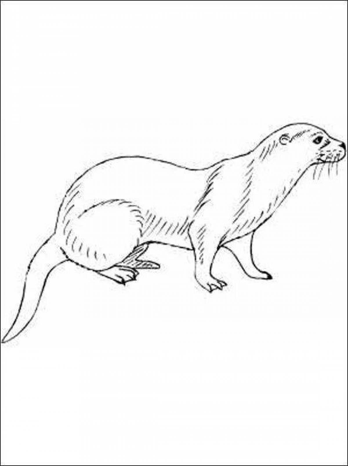 Majestic European mink coloring page