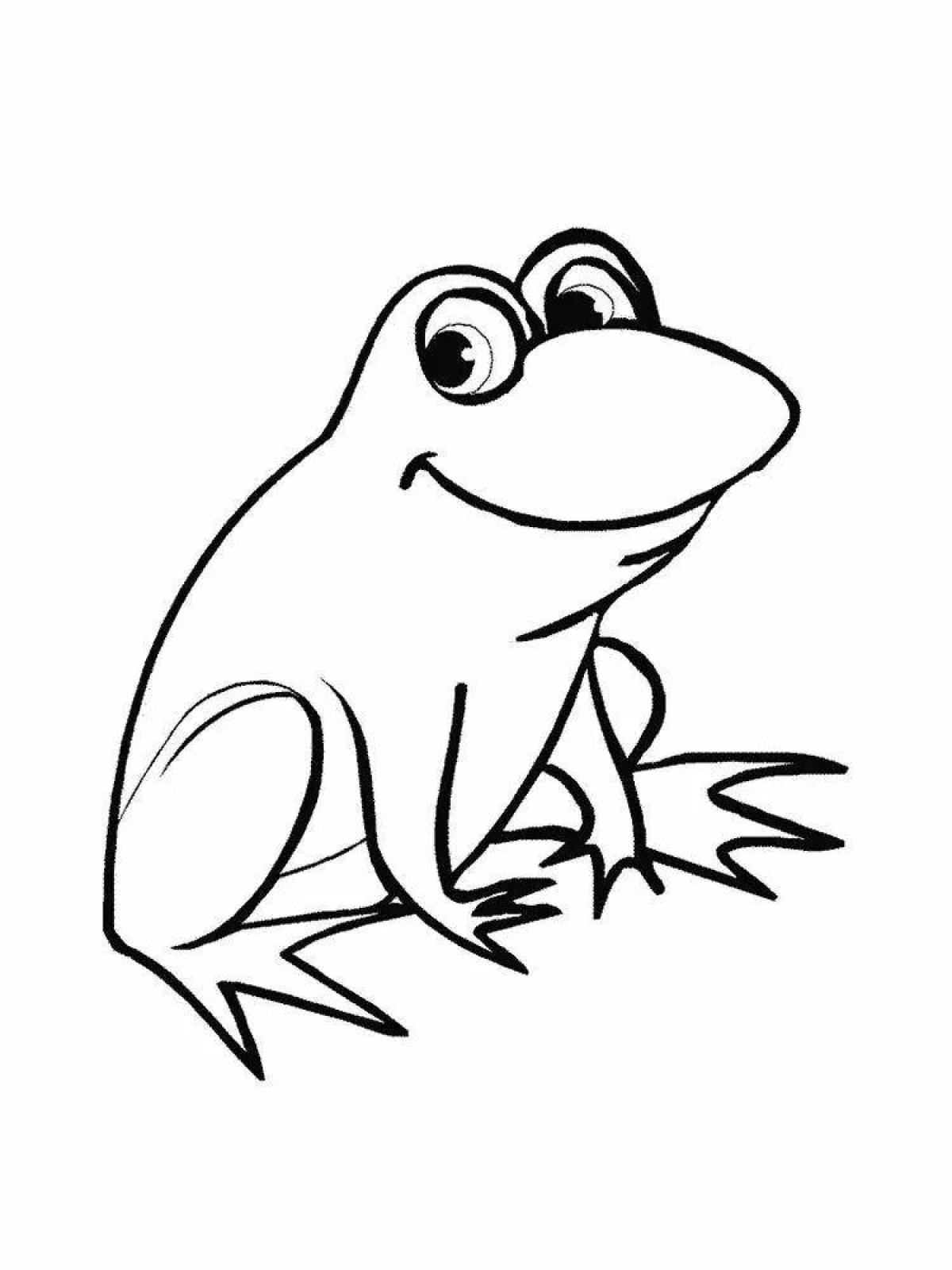 Colouring funny frog