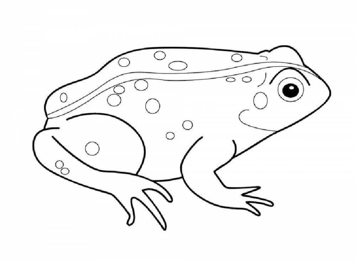 Coloring page dazzling frog