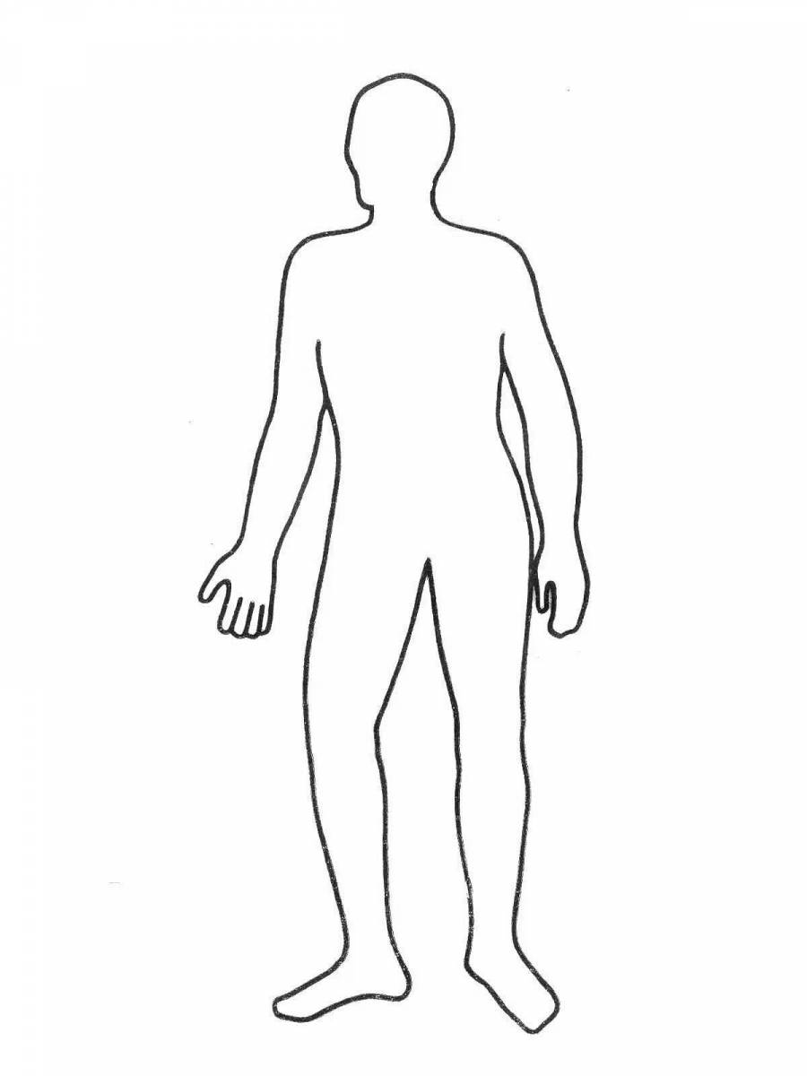 Рисунок человека схематично в полный рост