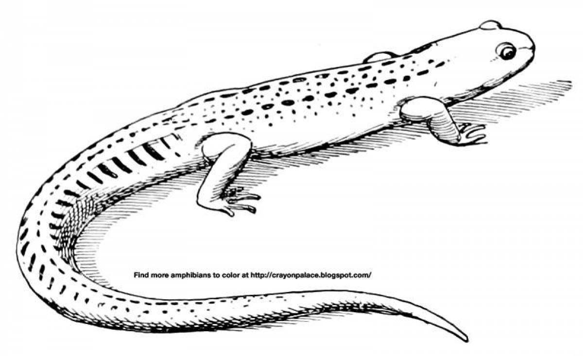 Тритон картинка раскраска
