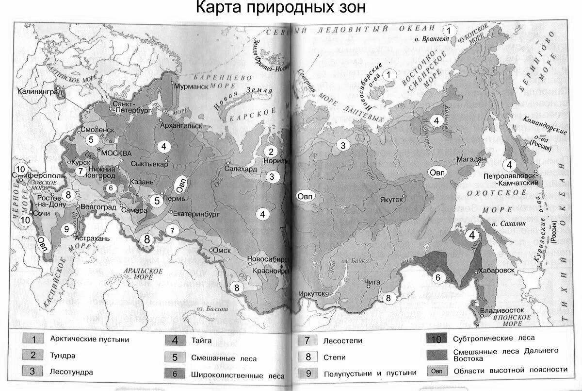 Восхитительная карта природных зон россии