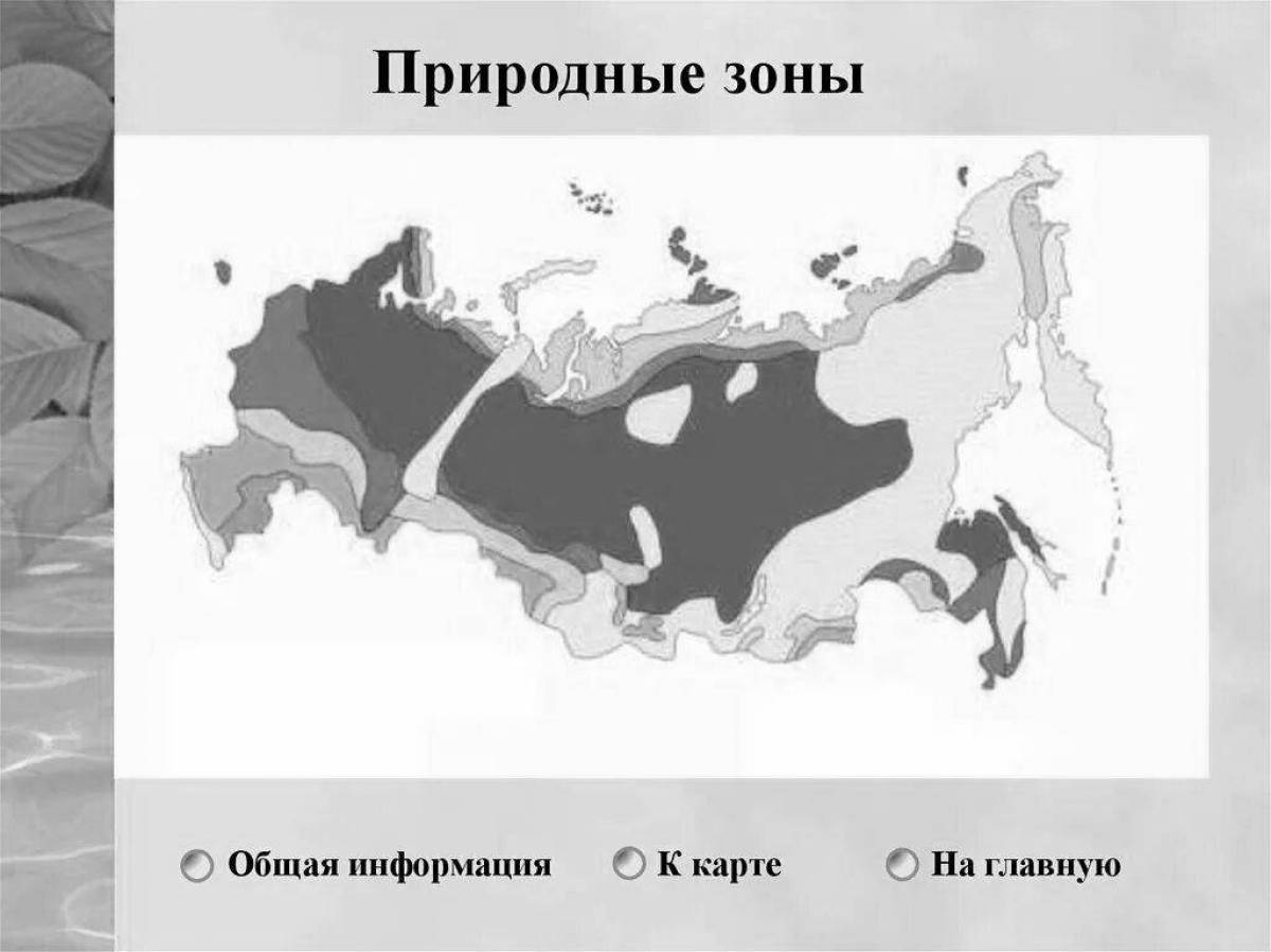 Intriguing map of Russia's natural areas