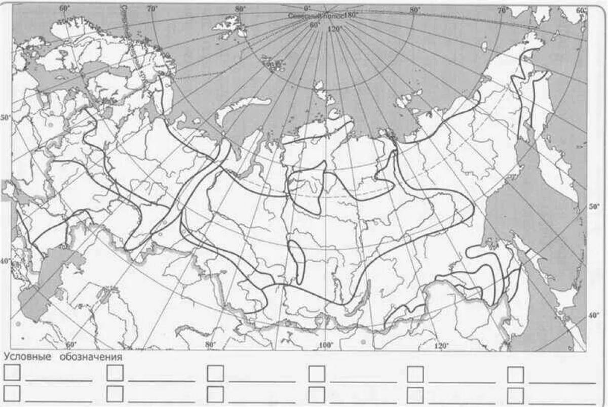 Живописная карта природных зон россии