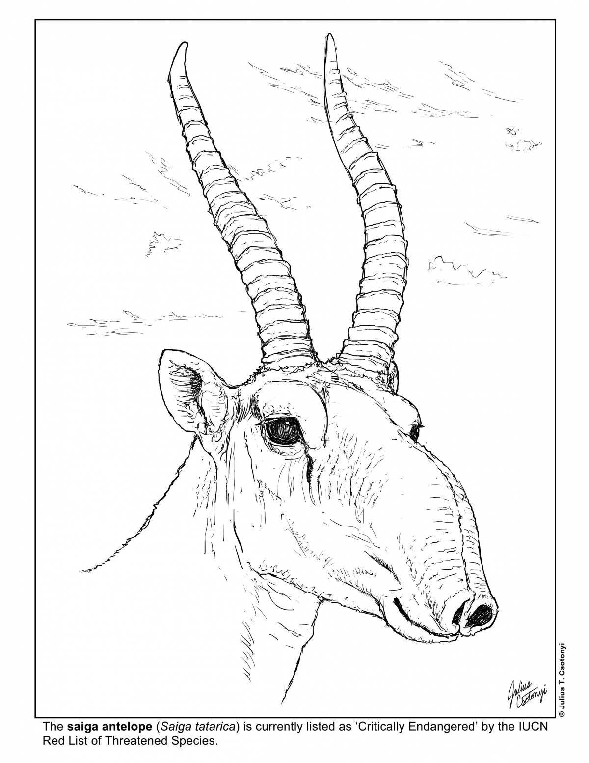 Outstanding saiga coloring page