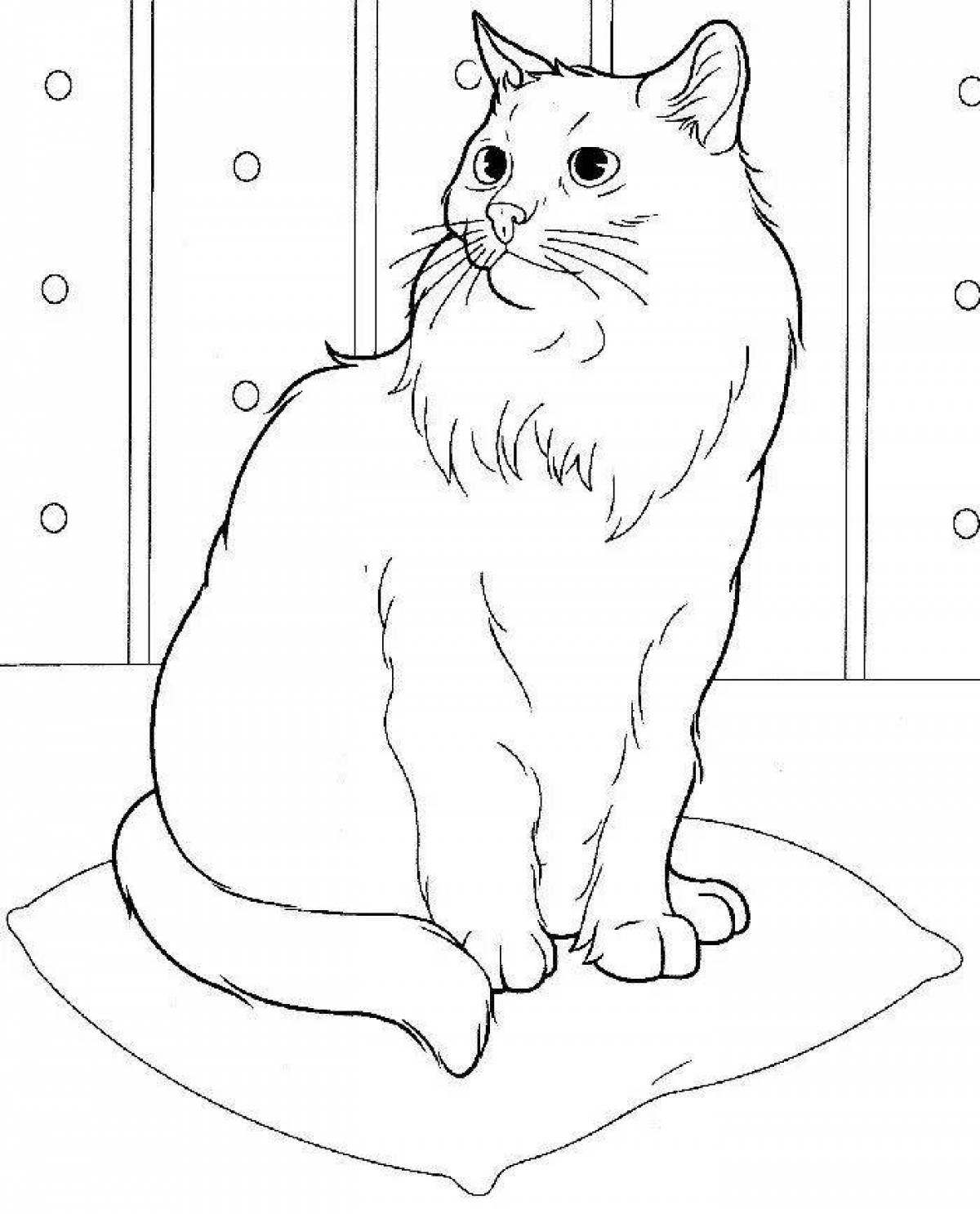 Остроумный рисунок кошки