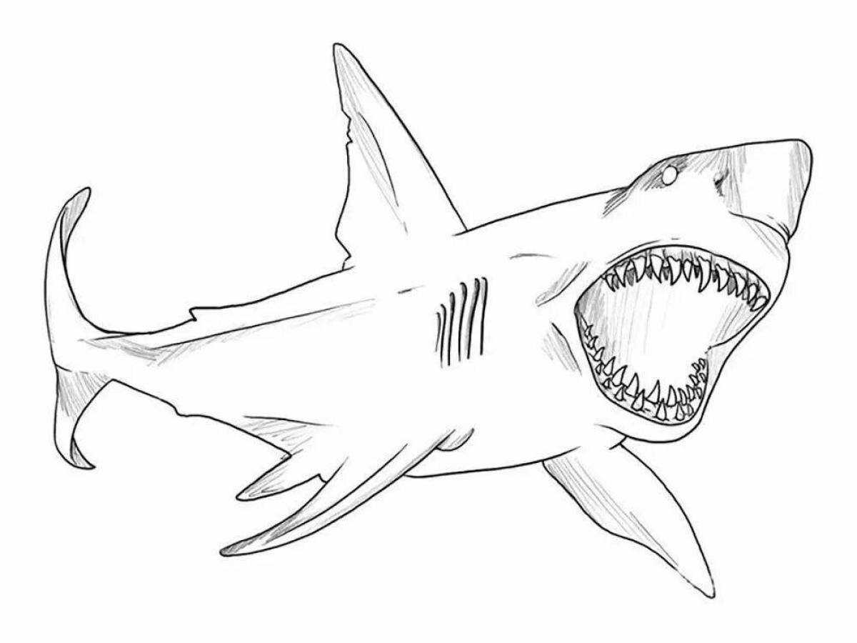 Majestic white shark coloring page
