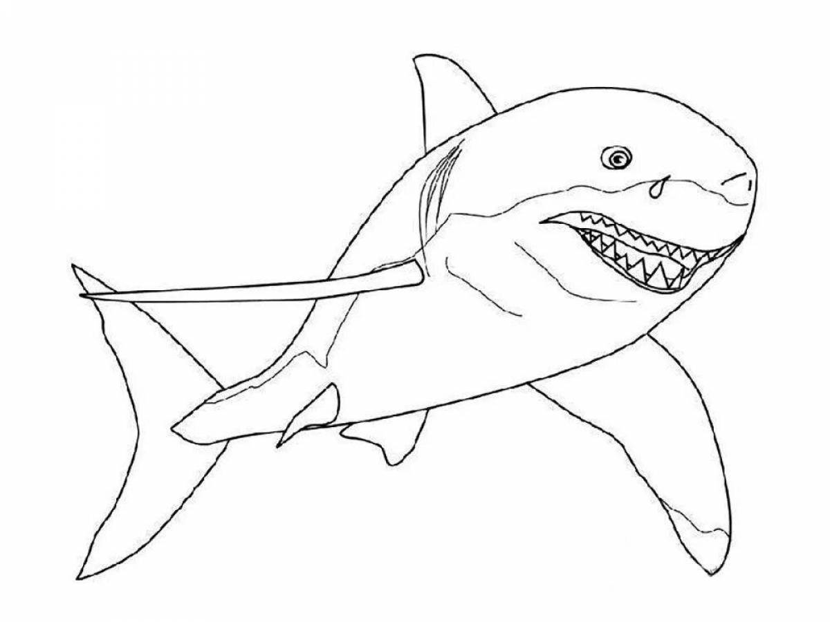 Раскраска яркая белая акула