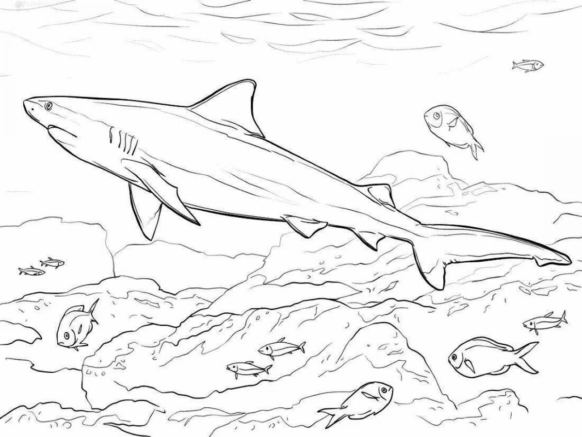Великолепная страница раскраски белой акулы