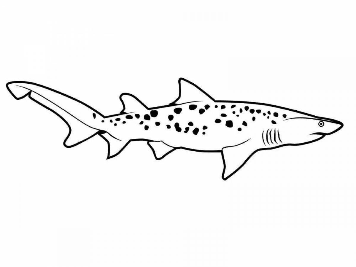 Внушительная белая акула-раскраска