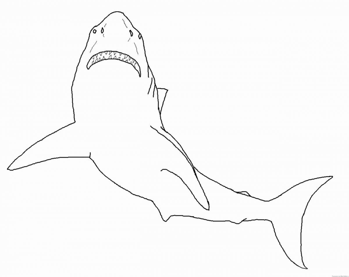 Раскраска большая белая акула