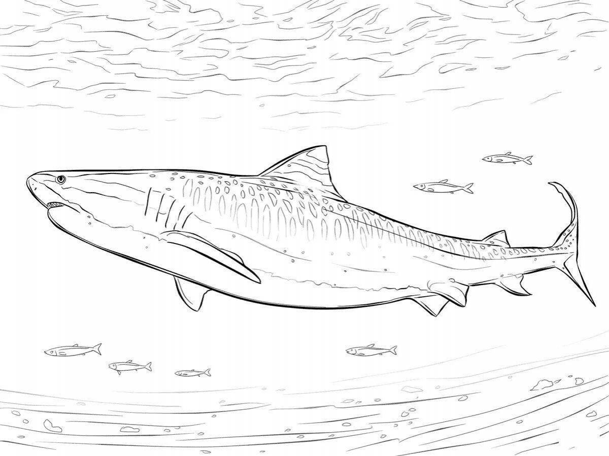 Удивительная страница раскраски с белой акулой