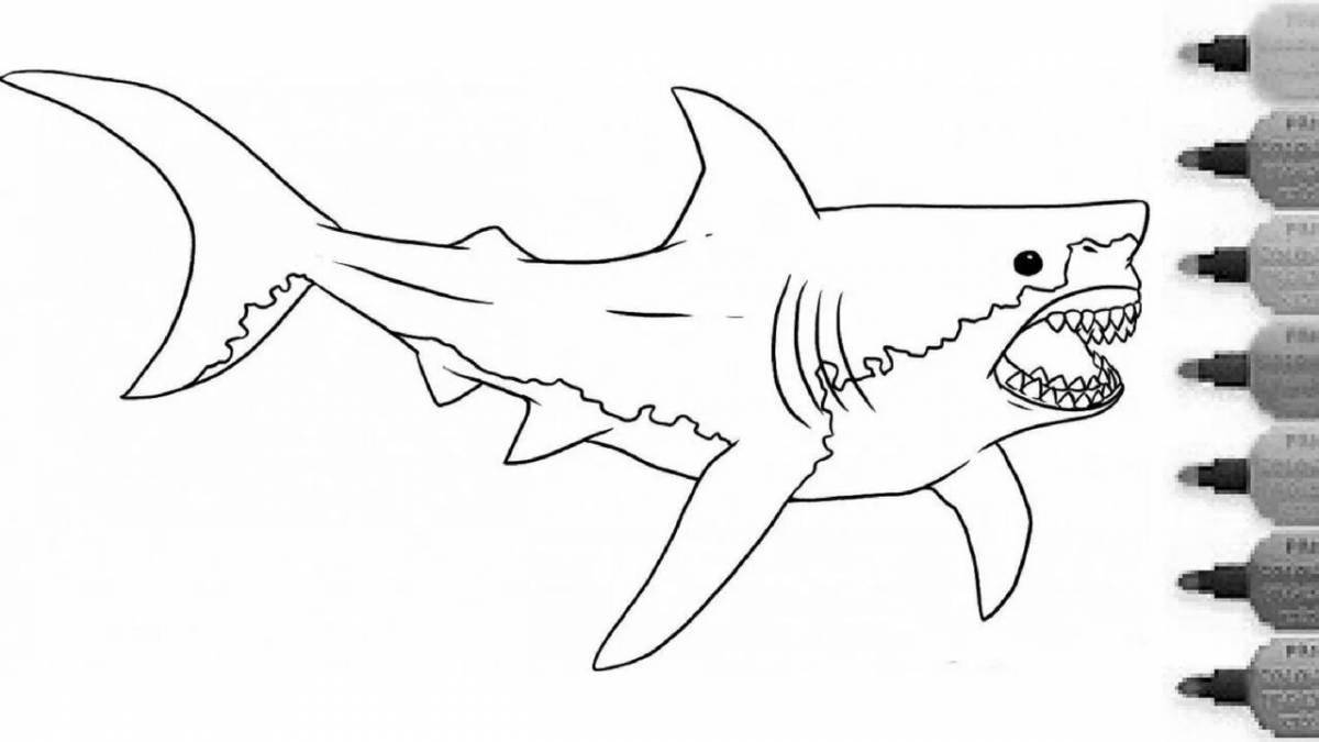 Fabulous white shark coloring book