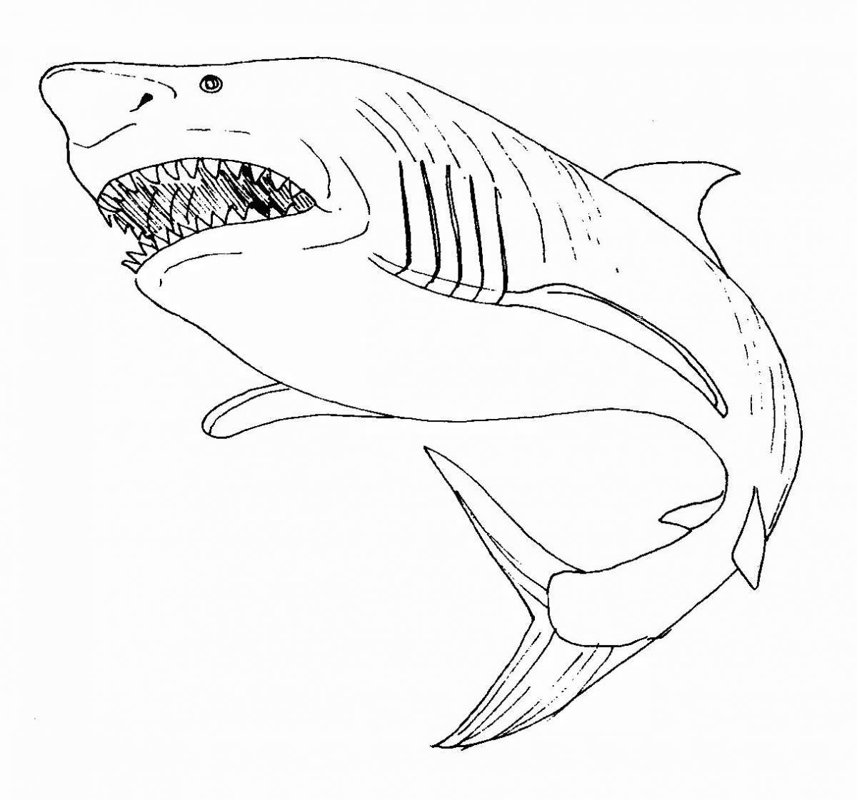 Завораживающая раскраска белая акула