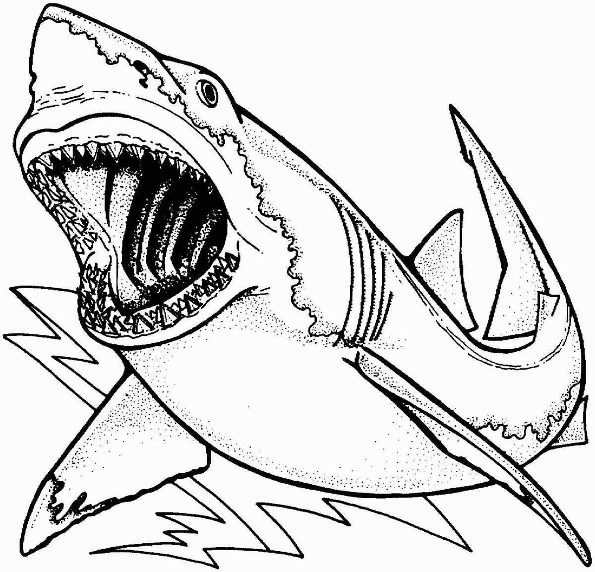 Adorable white shark coloring page
