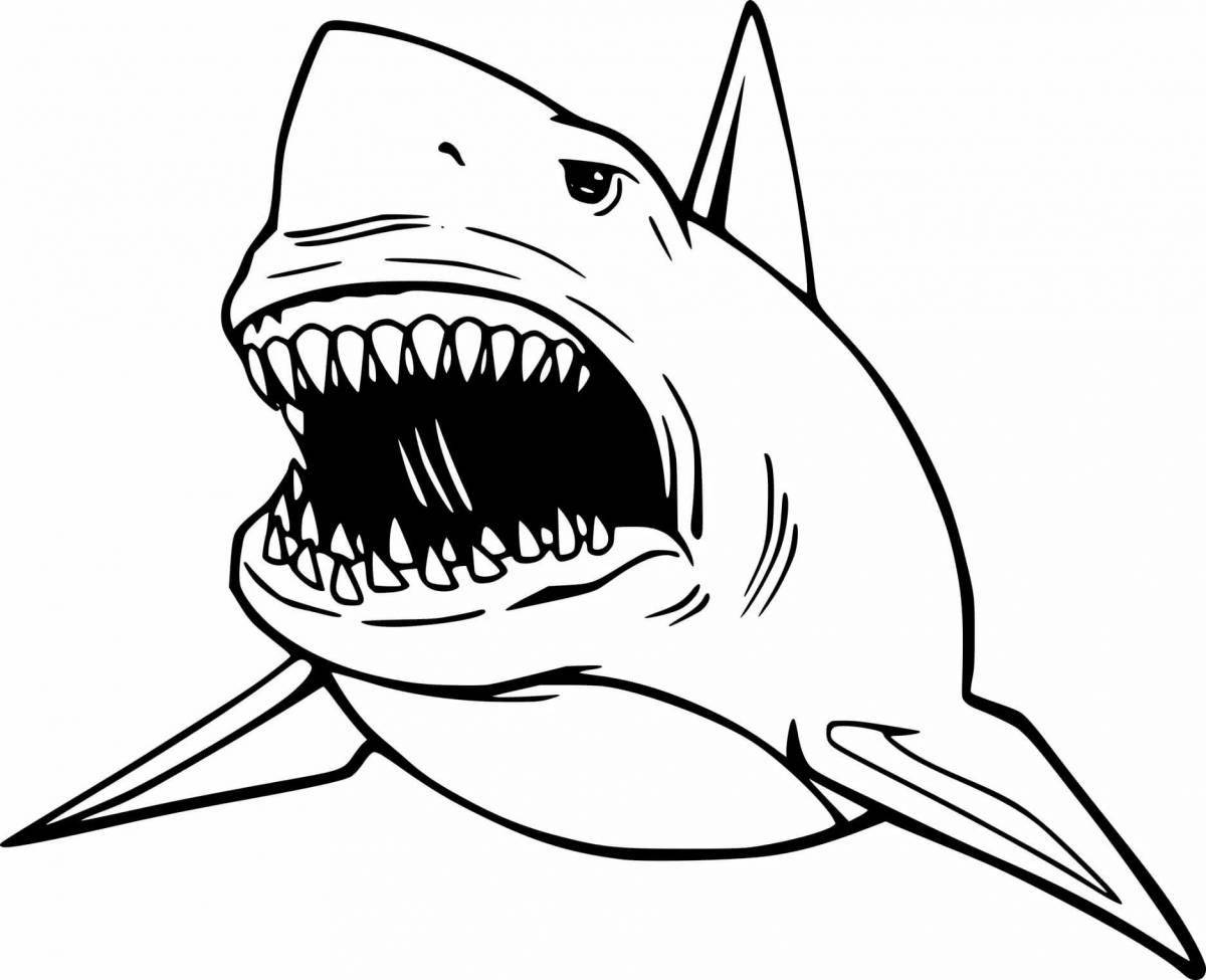 Intriguing white shark coloring book
