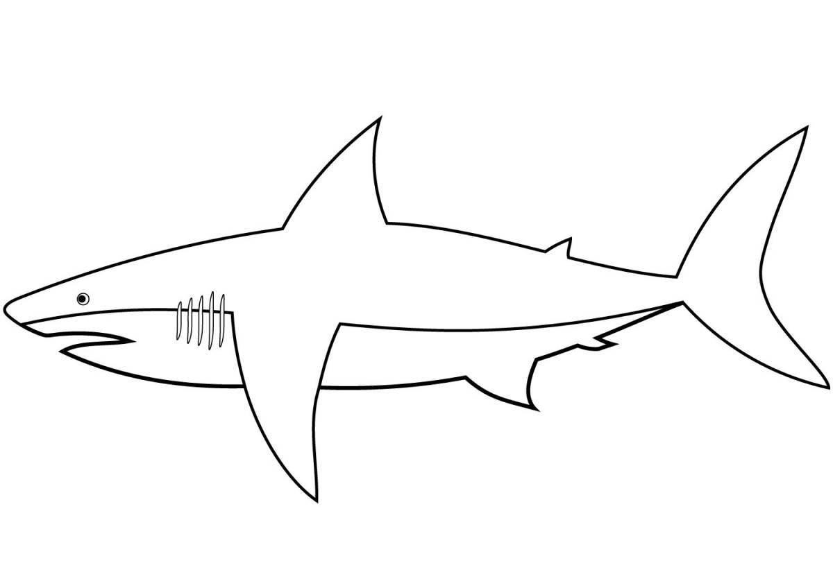 Раскраска королевская белая акула