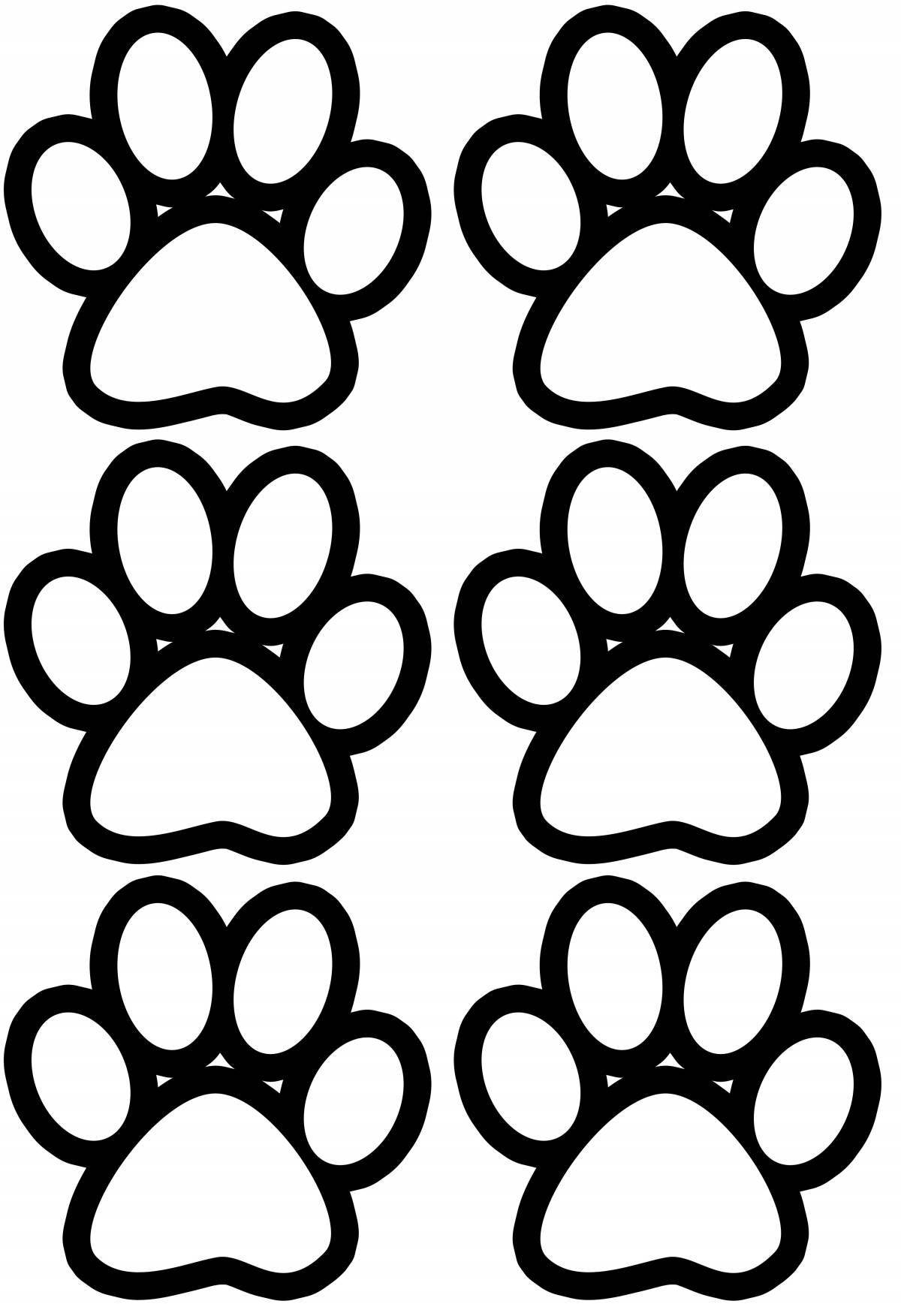Coloring book gorgeous cat paw