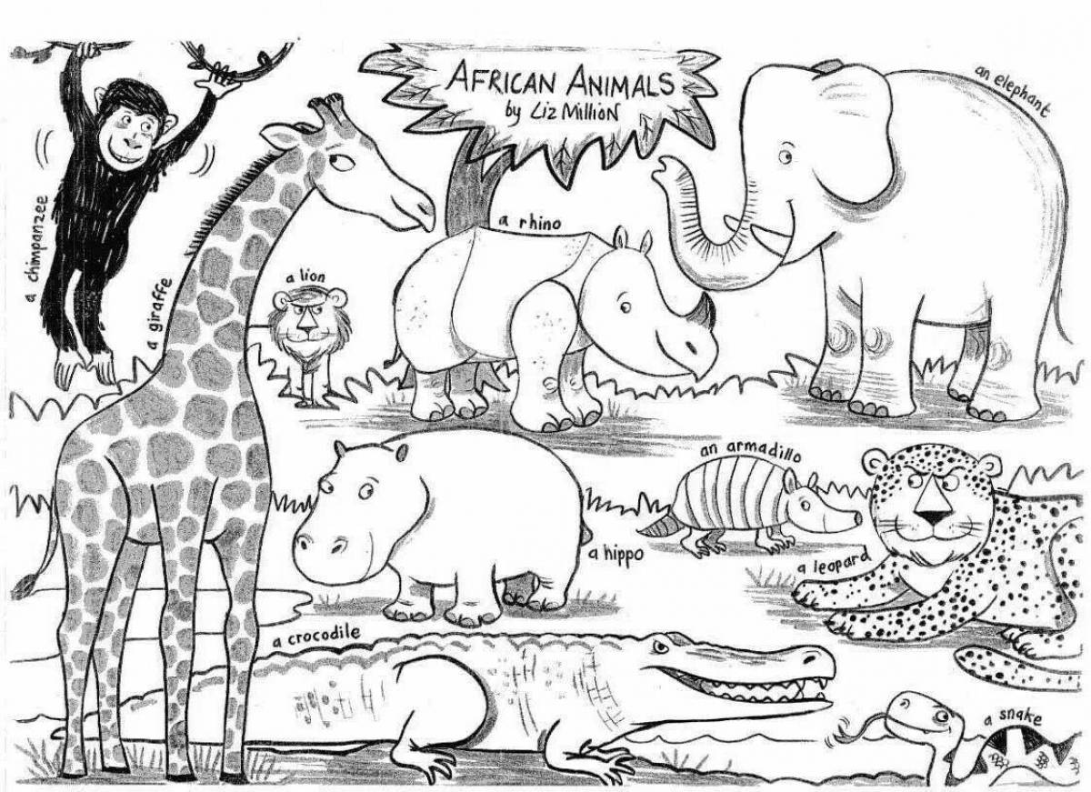 Жизнь животных в зоопарке. Зоопарк раскраска для детей. Африка раскраска для детей. Рисунки африканских животных. Раскраски животных зоопарка для детей.