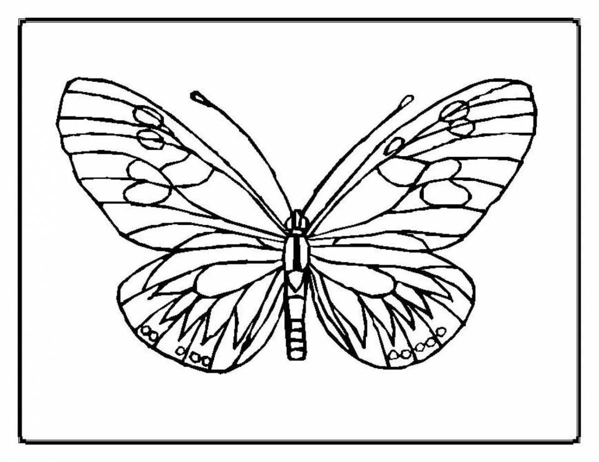 Бабочка раскраска реалистичная