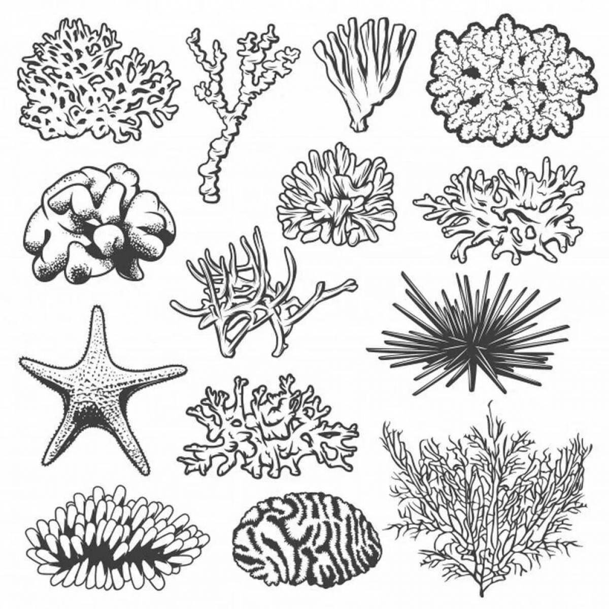 Кораллы стилизация в графике