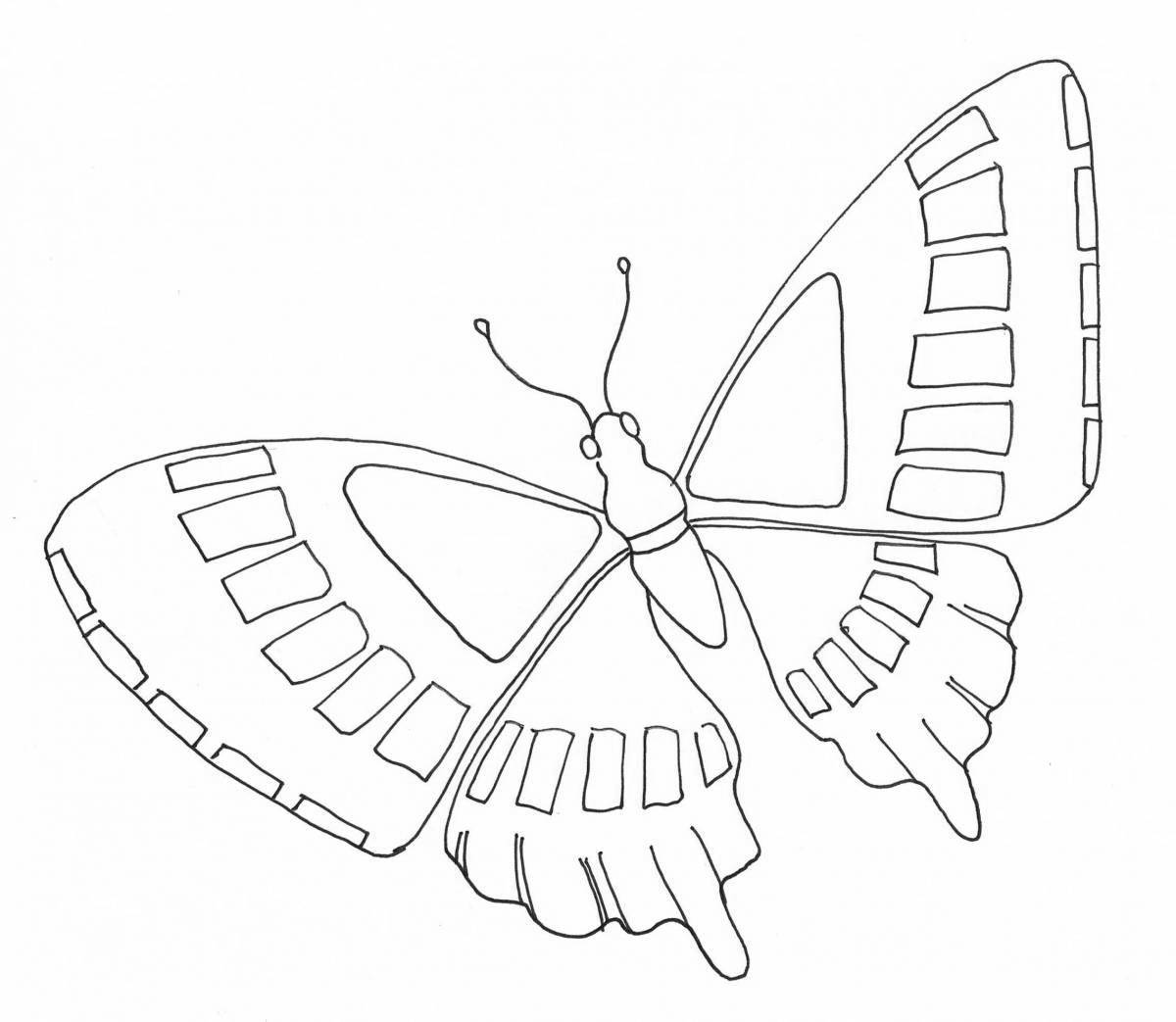 Изысканная страница раскраски бабочки-парусника