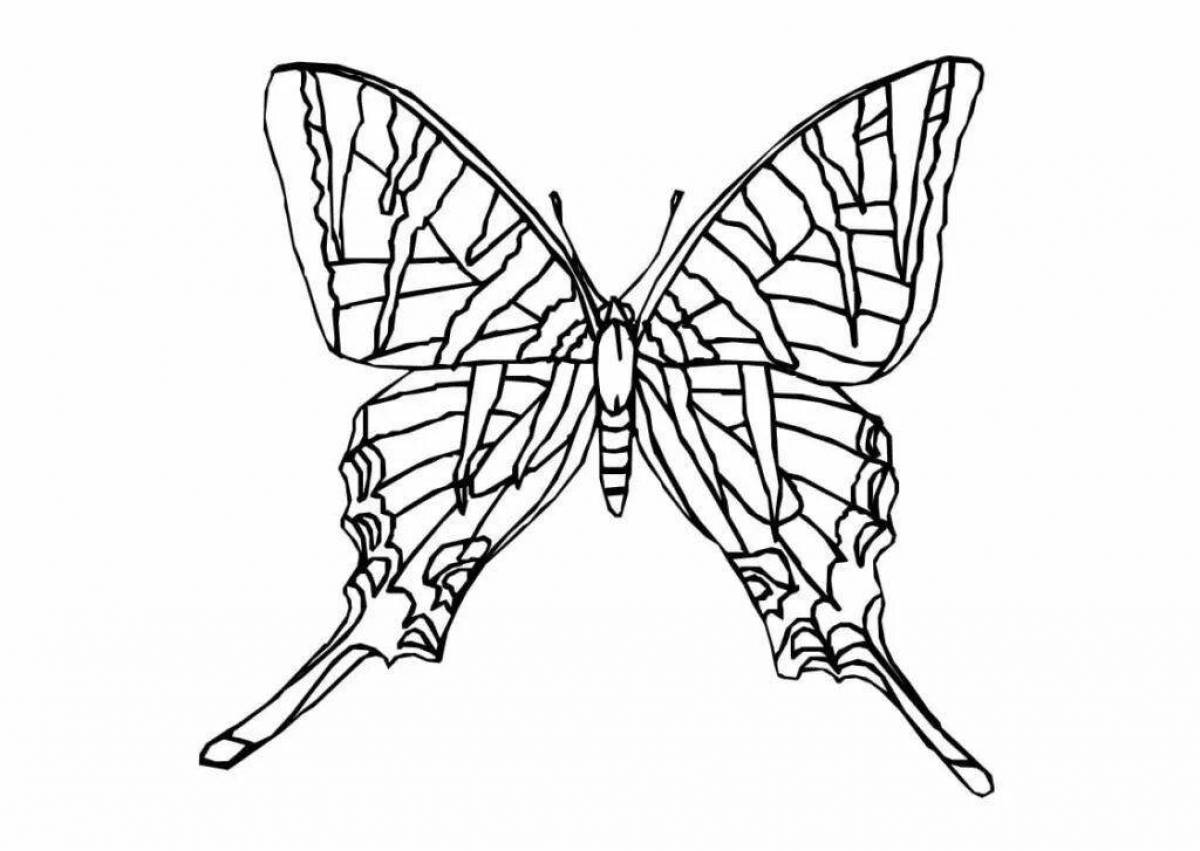 Очаровательная страница раскраски бабочки-парусника