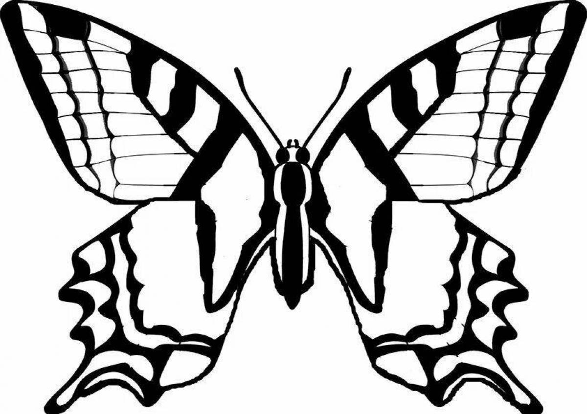 Великолепная страница раскраски бабочки-парусника