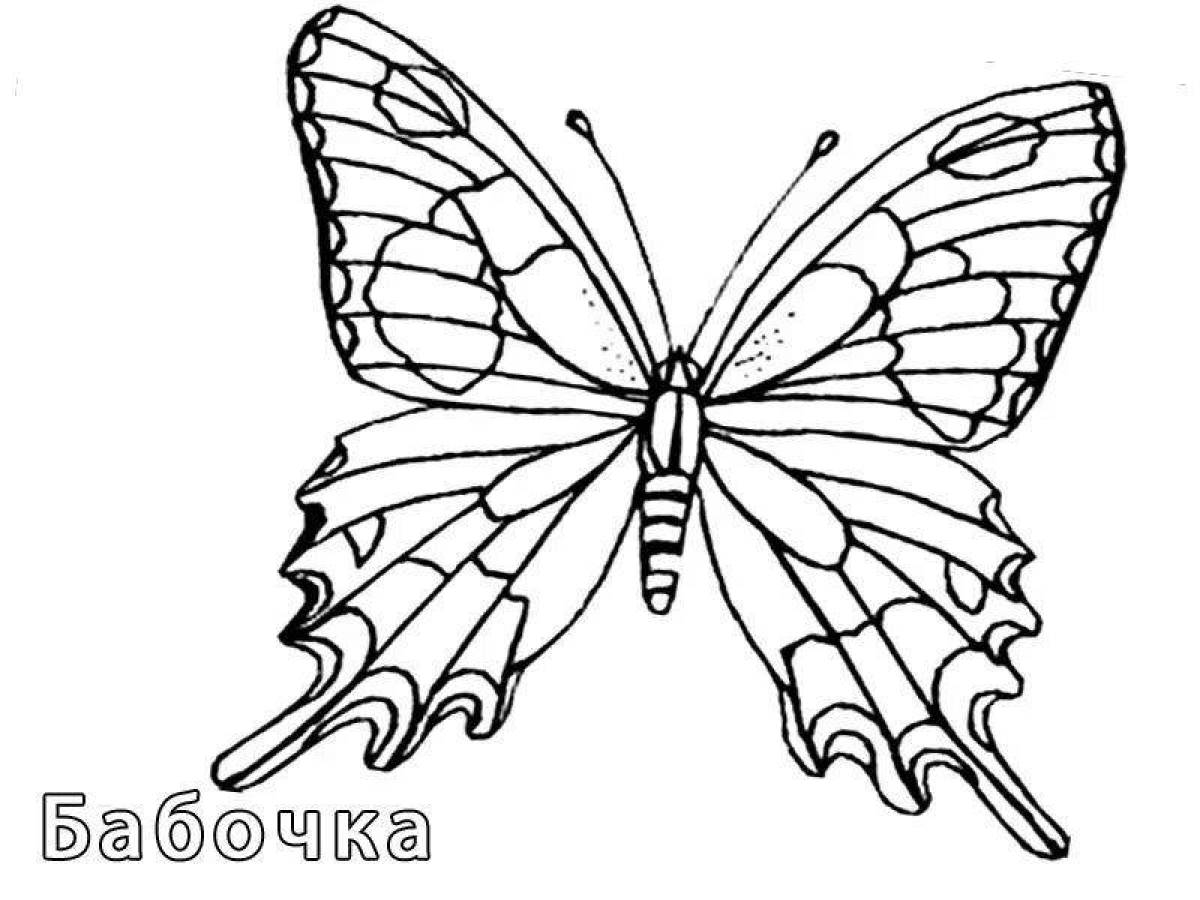 Прекрасная страница раскраски бабочки-парусника