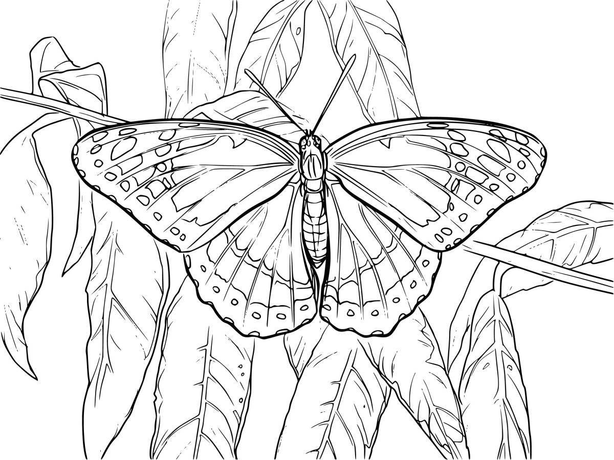 Coloring page dazzling swallowtail butterfly