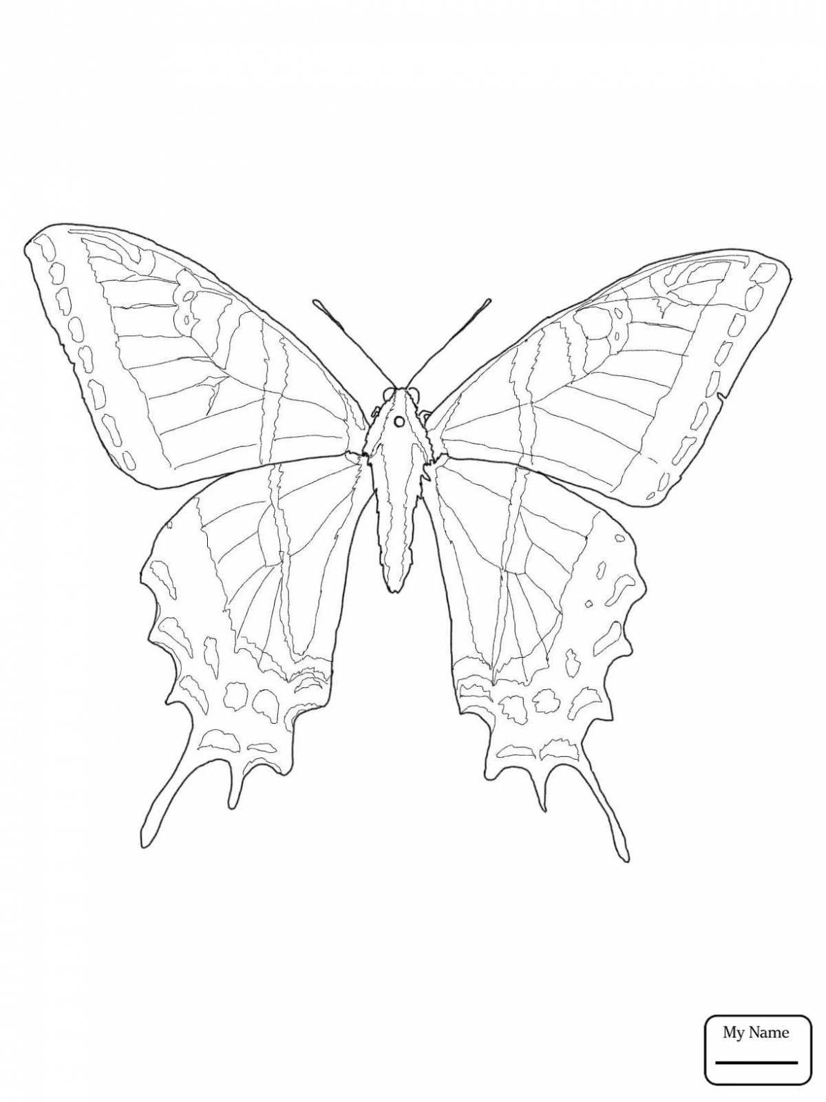 Coloring page striking butterfly-sailboat
