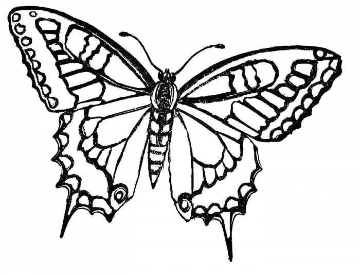 Colouring Rainbow Swallowtail Butterfly