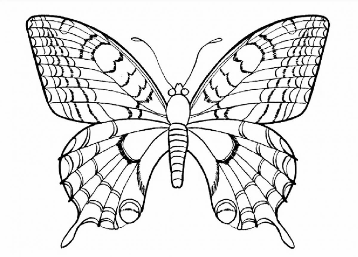 Раскраска изысканная бабочка-парусник