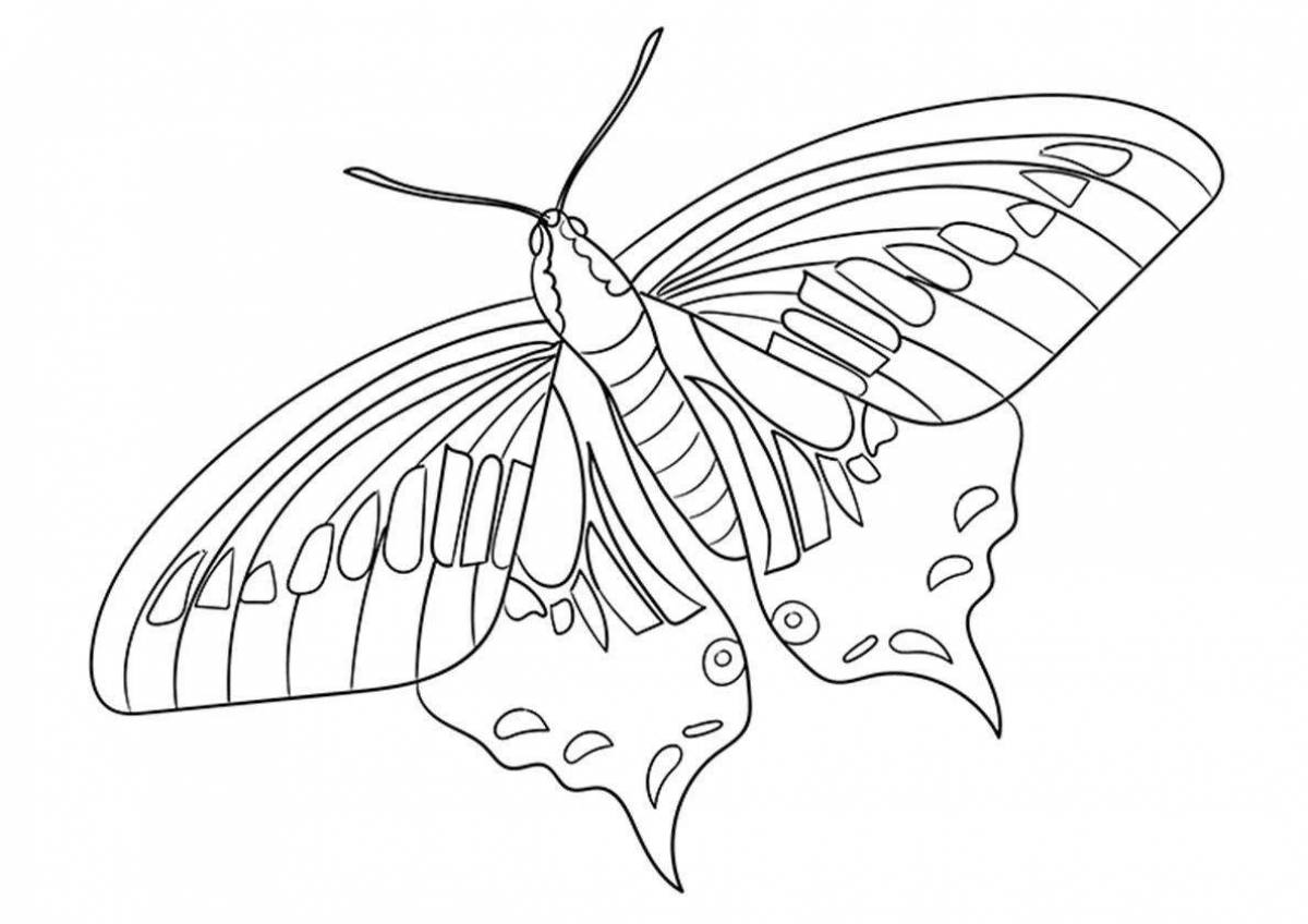 Coloring book fascinating butterfly-sailboat