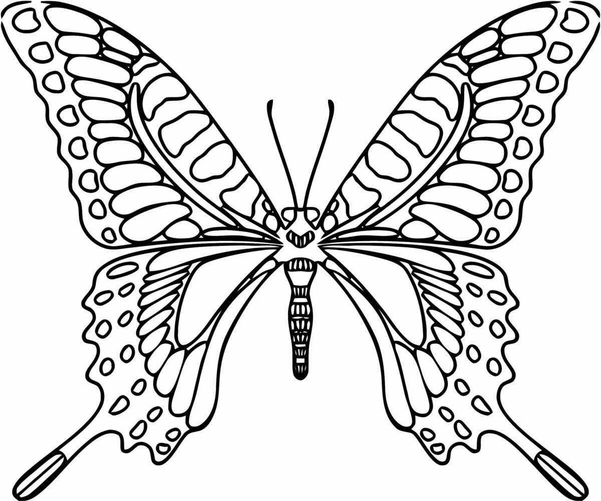 Махаон бабочка #5