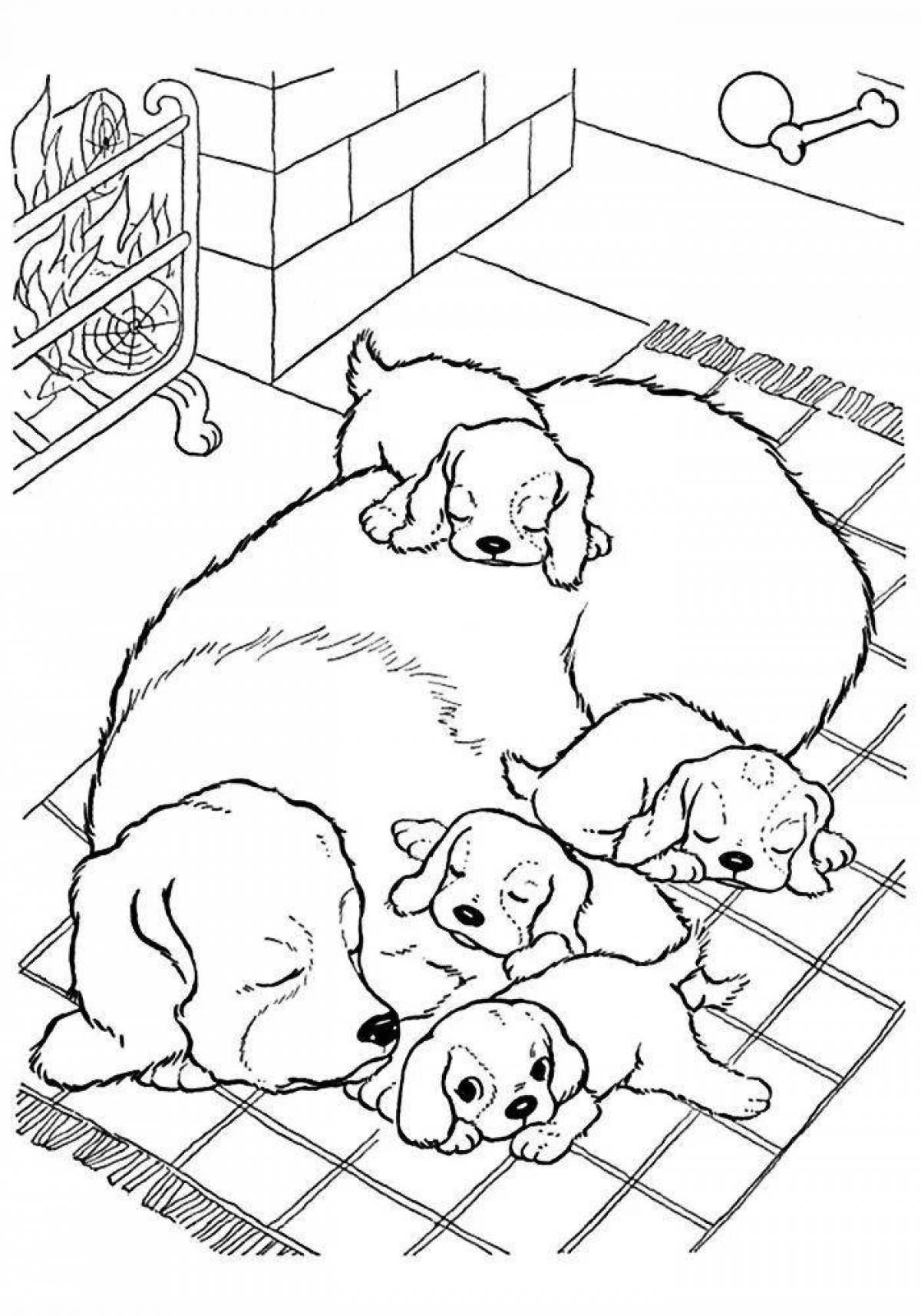 Curious coloring dog animals