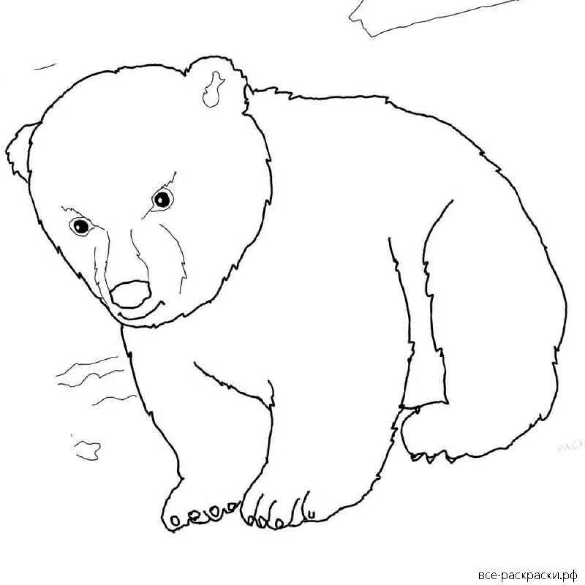 Cute white teddy bear coloring book
