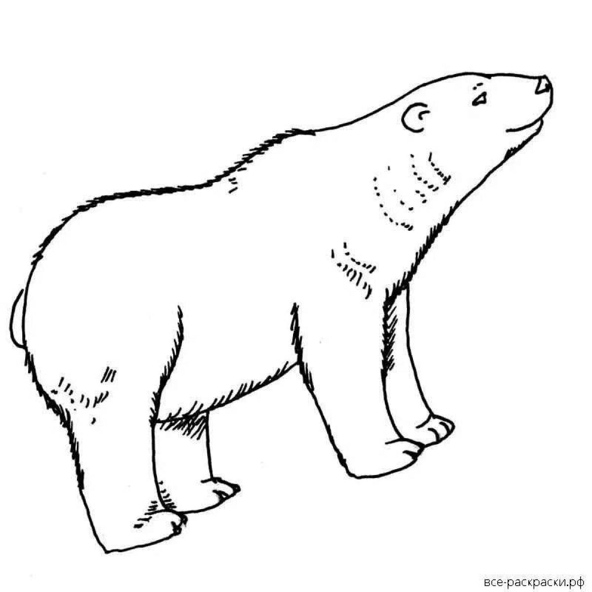 Coloring book of an attractive white teddy bear
