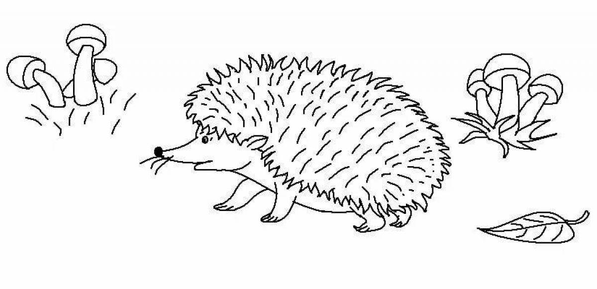 Wonderful drawing of a hedgehog