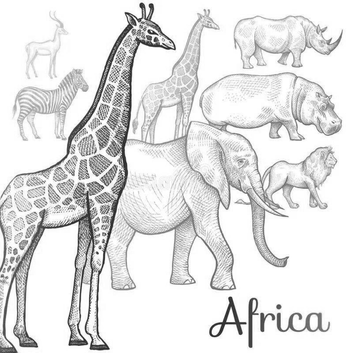 Royal African safari poster