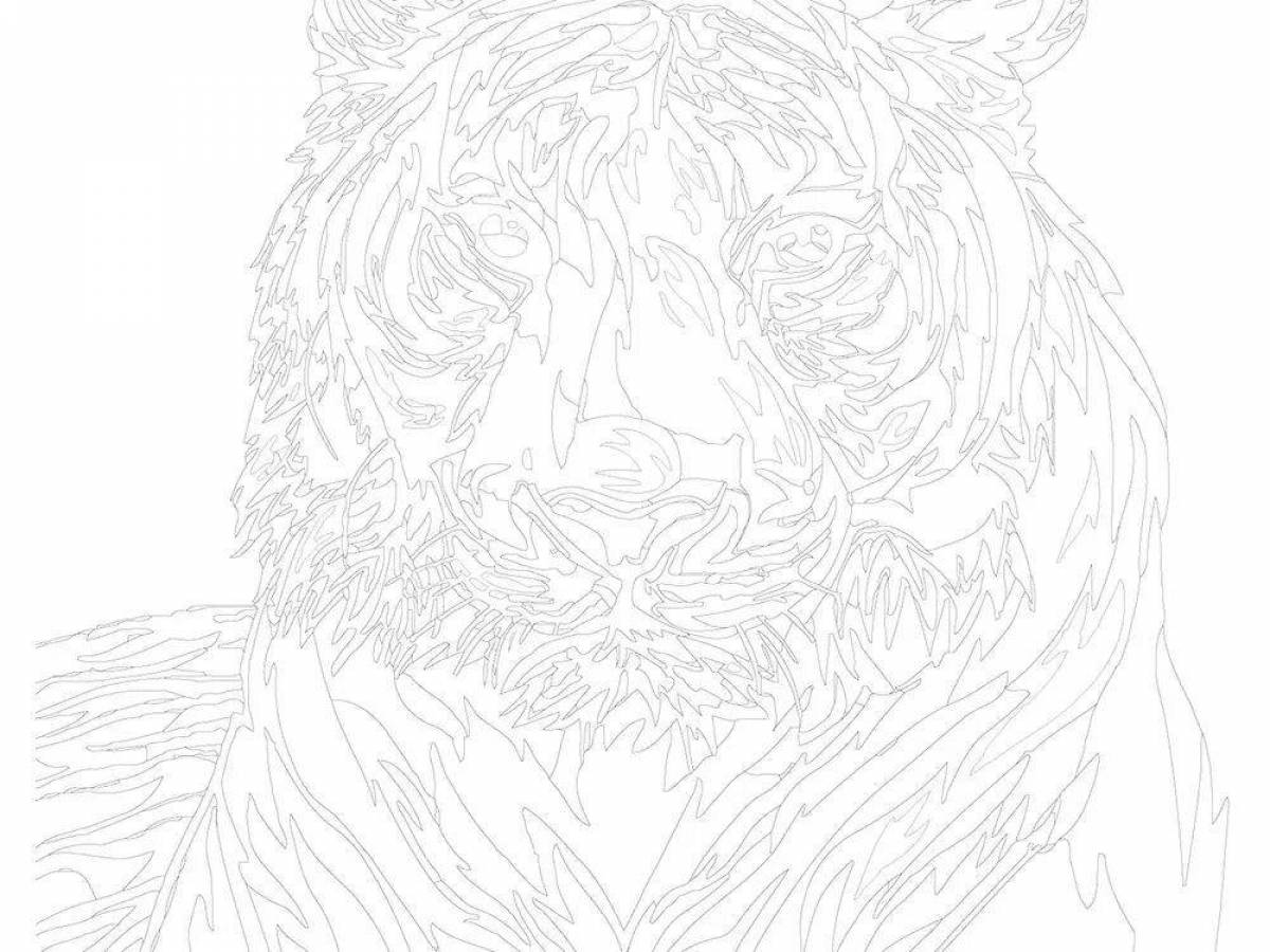 Fun tiger coloring by numbers