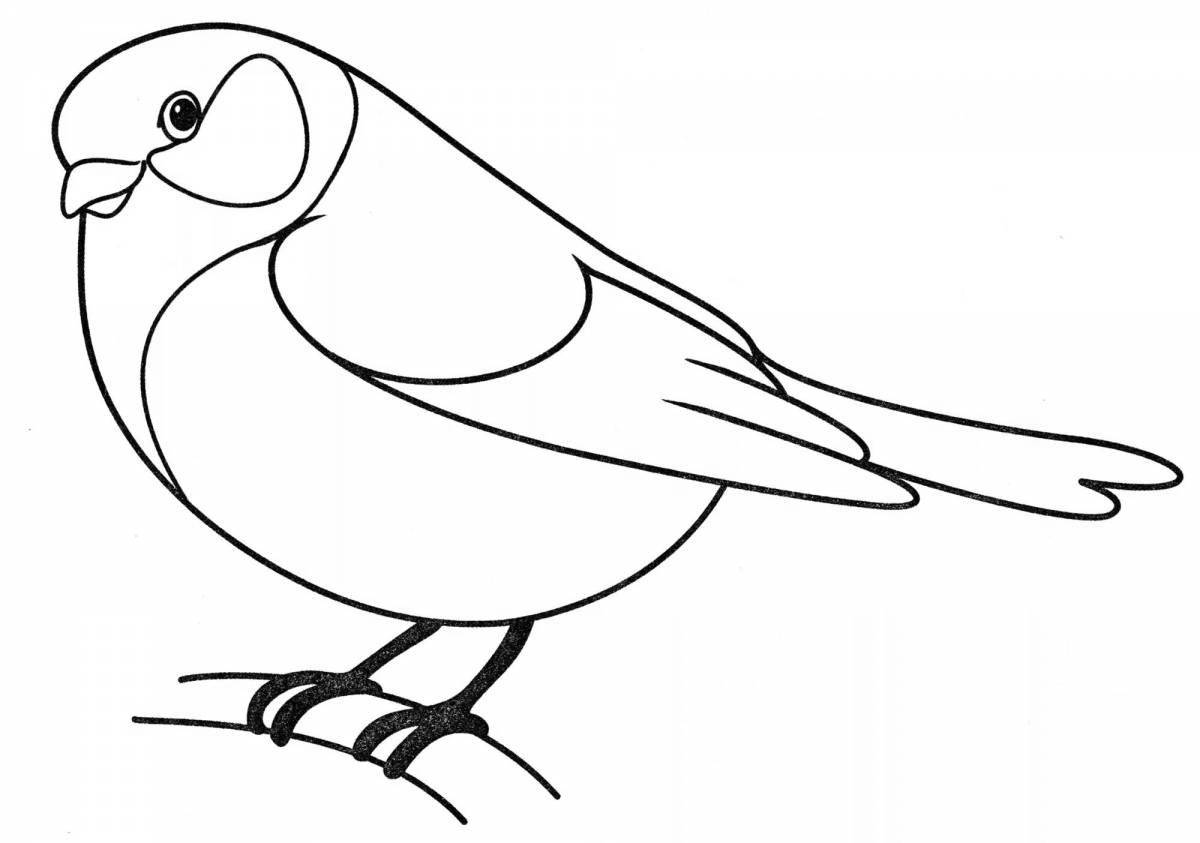 Colourful tit and bullfinch coloring book