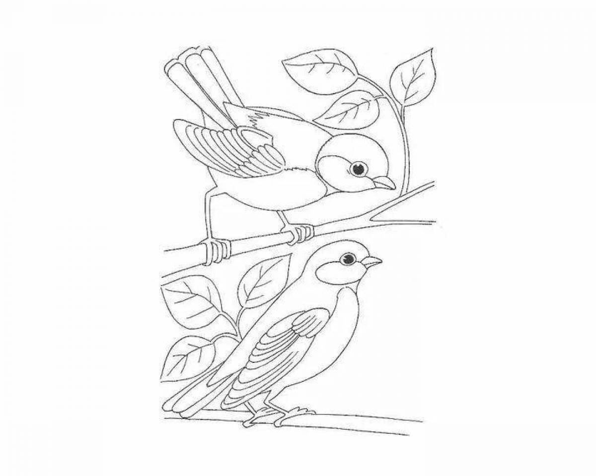 Delightful tit and bullfinch coloring book