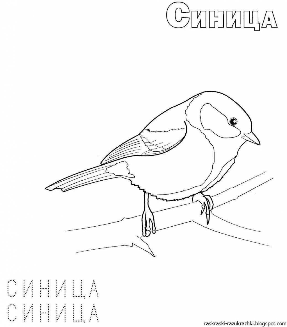 Coloring book funny tit and bullfinch