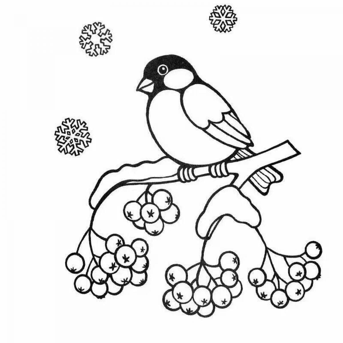 Coloring book blessed tit and bullfinch