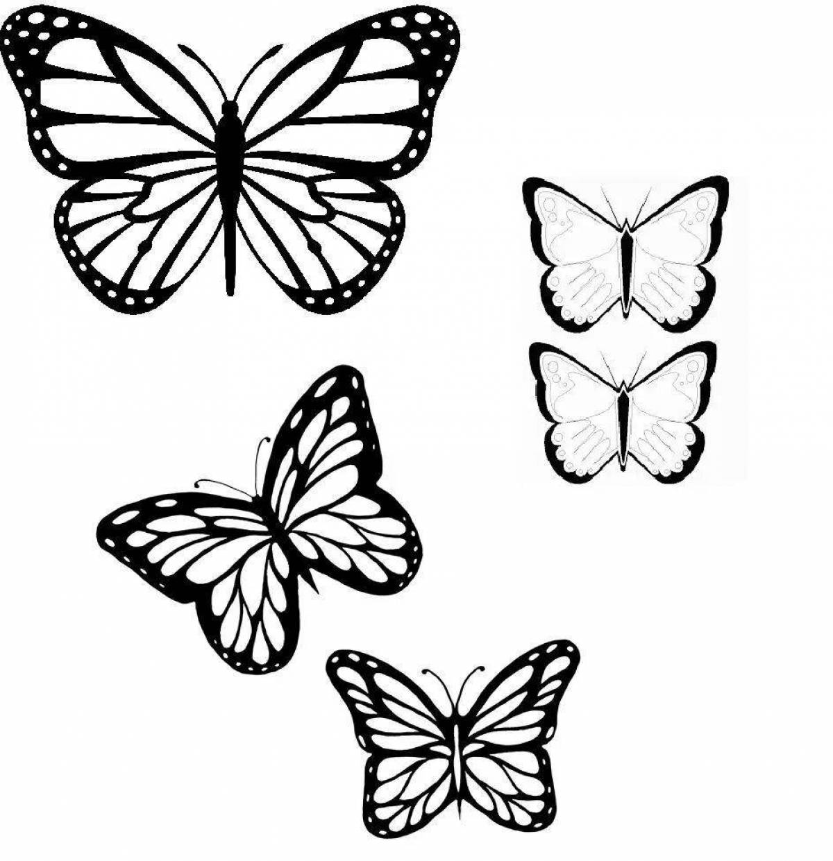 Exquisite butterfly coloring pages