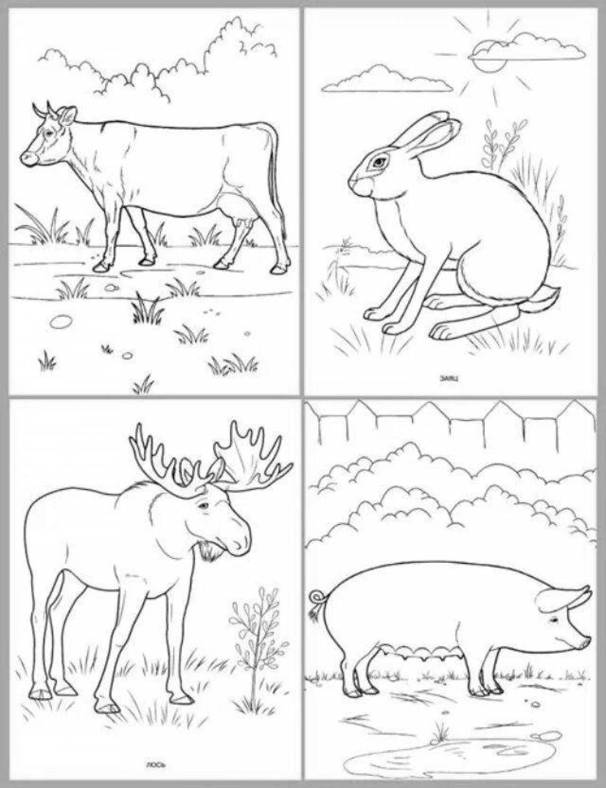 Красочная страница раскраски диких животных