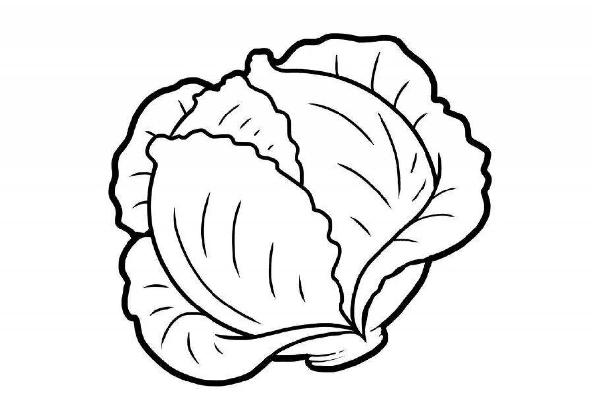 Playful squash coloring page